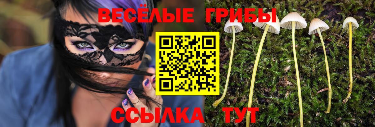 Галлюциногенные грибы Psilocybine cubensis Краснокамск